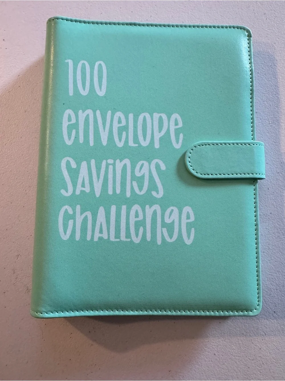 100 Envelope Savings Challenge Binder - Mint Green
